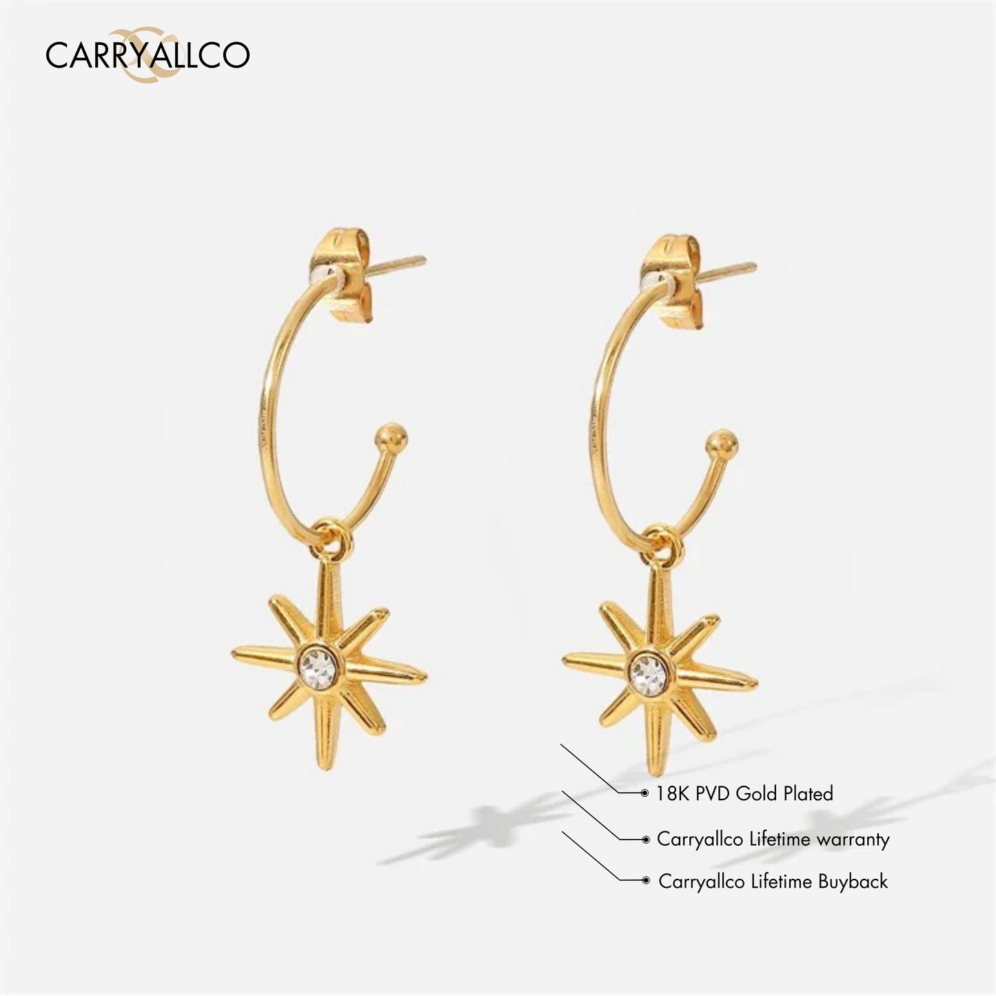 Carryallco Zirconia Hoop Star Earring