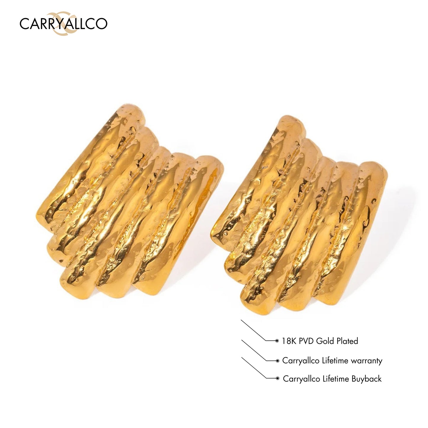 Carryallco 18K Gold Plated Hammered Texture Earring