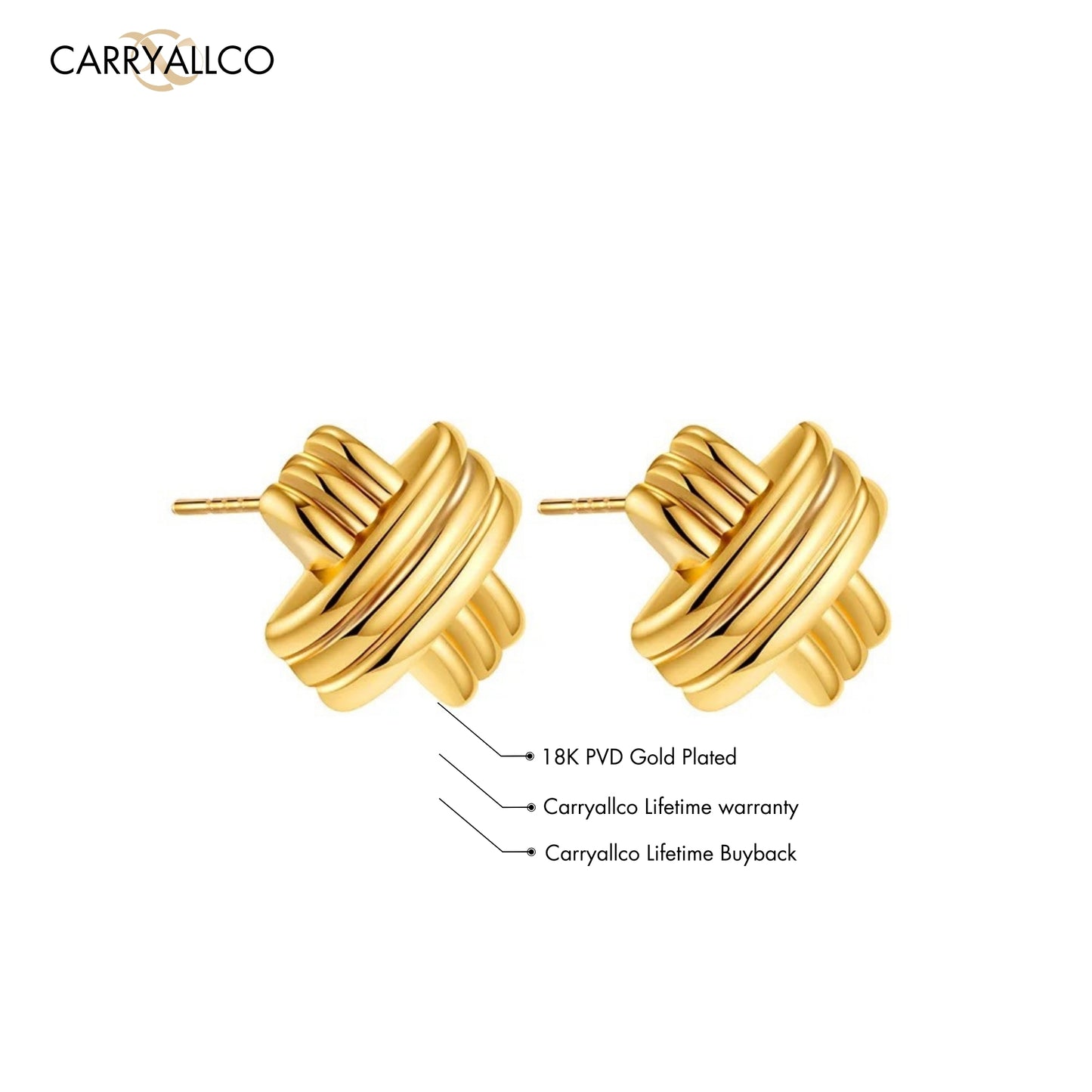 Carryallco 18K Gold Plated Cross X Earrings