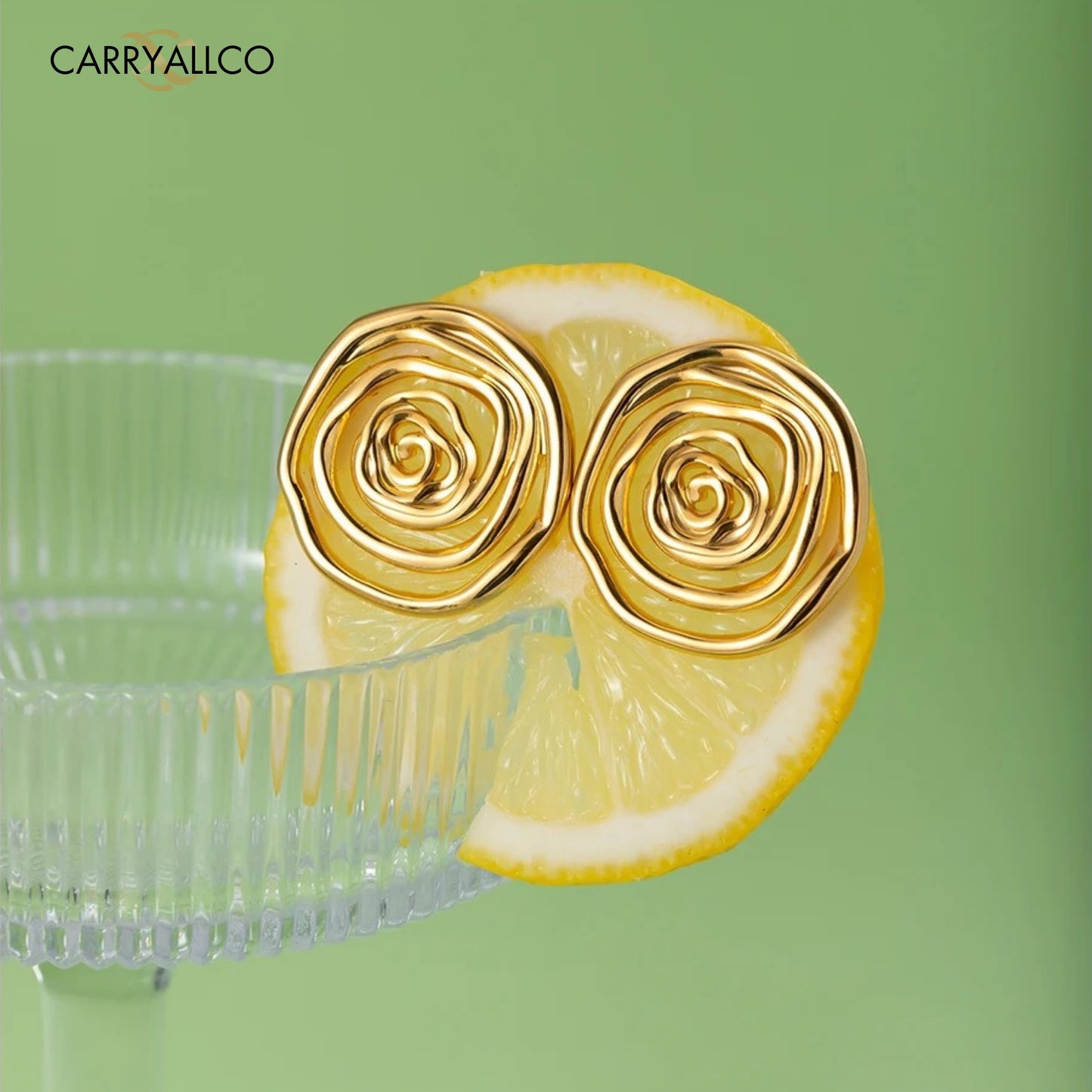 Carryallco Sculpted Spiral Hammer Earrings