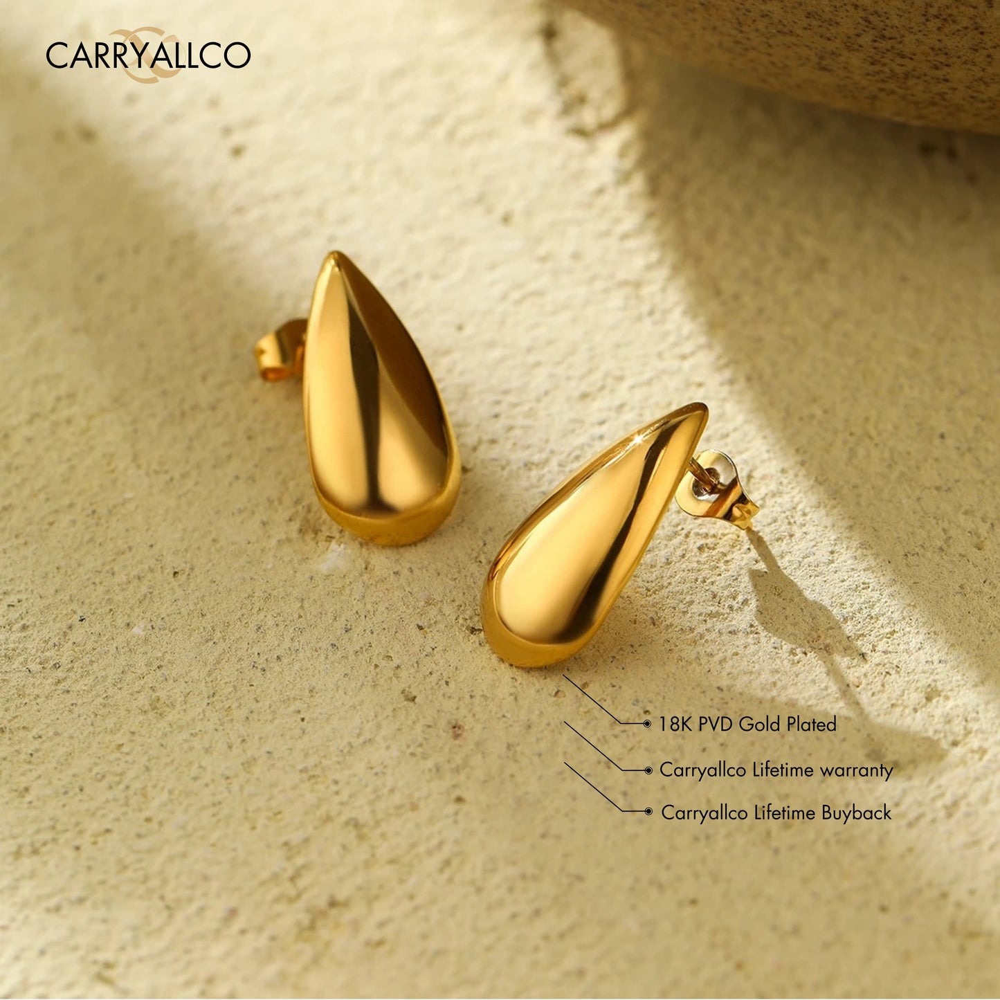 Carryallco Golden Dew Drop Earrings