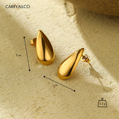 Carryallco Golden Dew Drop Earrings