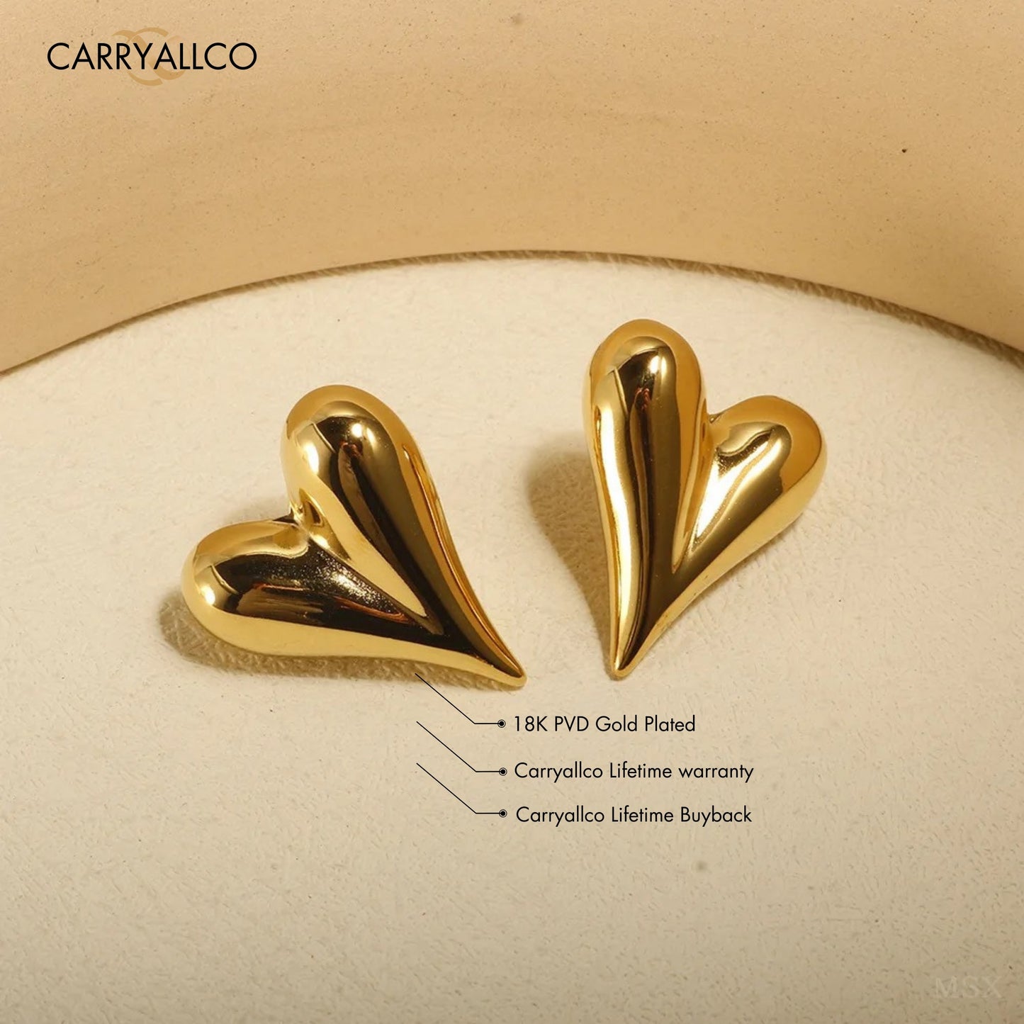 Carryallco Pure Love Heart Studs